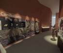 museo_evolucion_humana_10