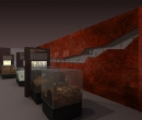 museo_evolucion_humana_43