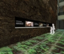 museo_evolucion_humana_7