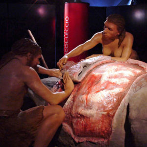 Human: The First Inhabitants of Catalonia