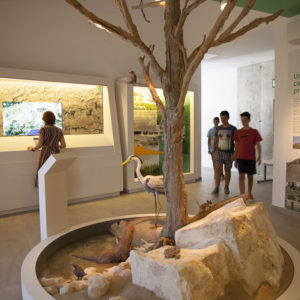 Interpretation Center: Reservoir Of Iznájar