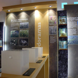 Visitors Center Of Sierra Tejeda, Almijara and Alhama