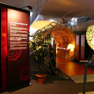 What is AIDS? The Battle Against The Immune System