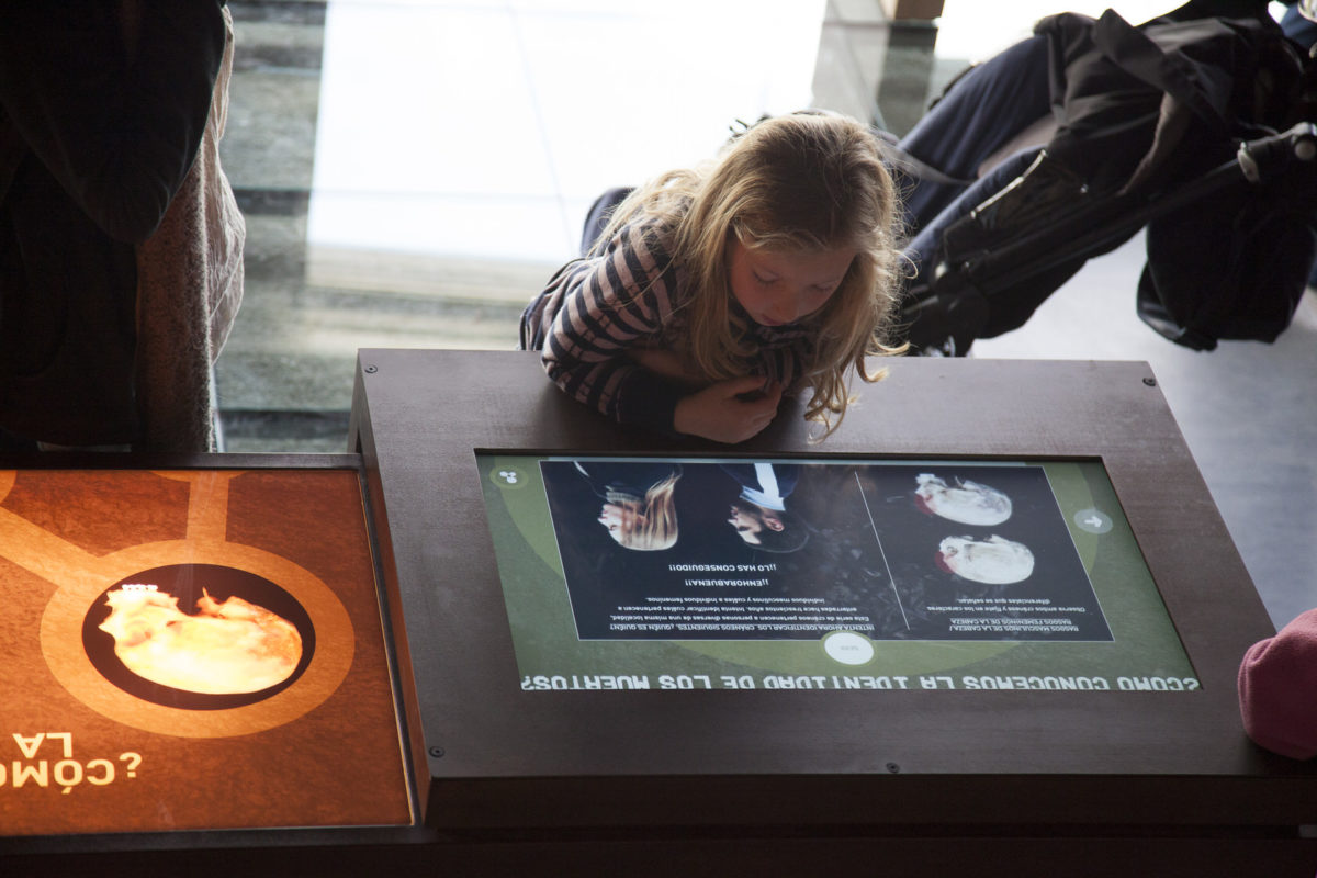 Interpretation Center Of Archaeological Sites Of Baza