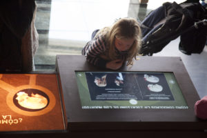 Interpretation Center Of Archaeological Sites Of Baza