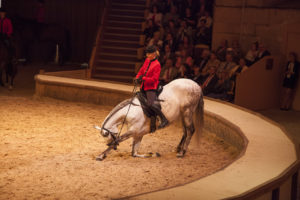 Horse Museum Of Chantilly, France