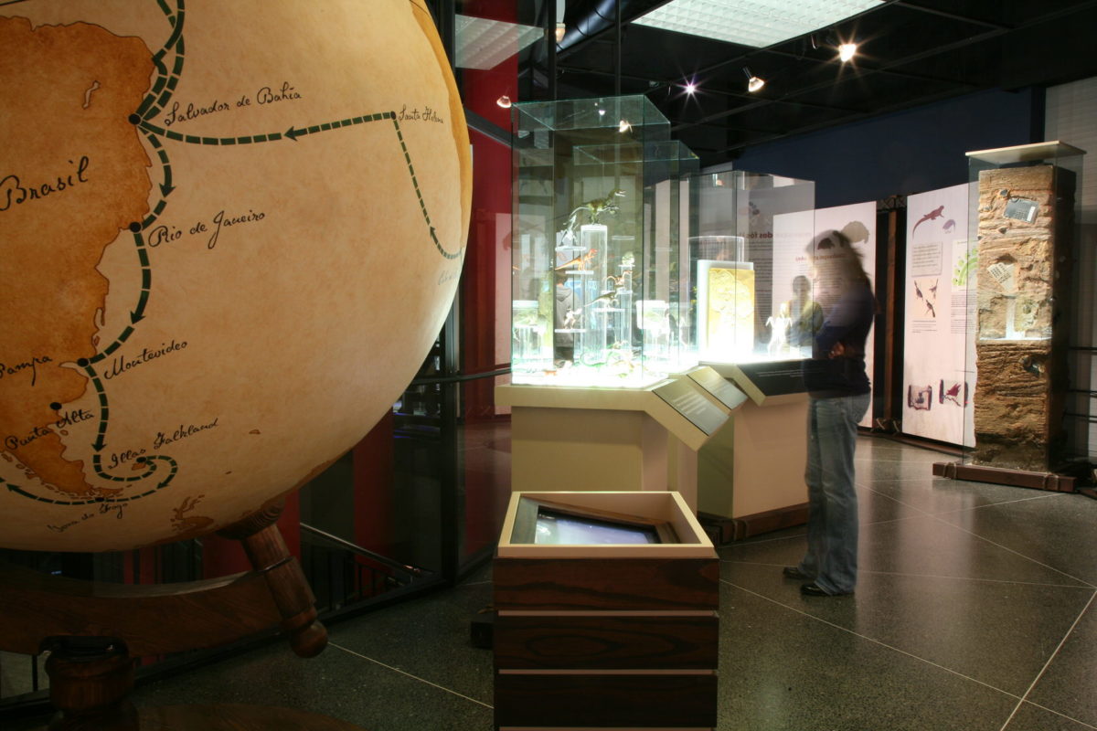 The Wonder Of The Lord Darwin