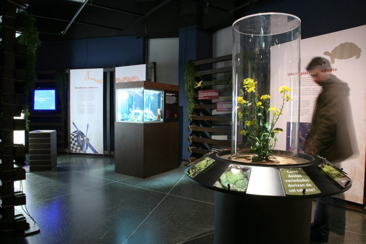 The Wonder Of The Lord Darwin