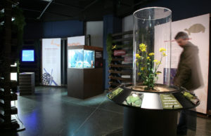 The Wonder Of The Lord Darwin