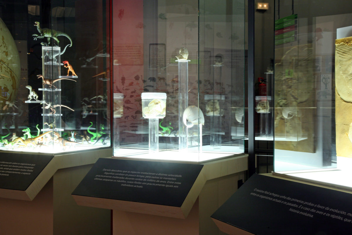 The Wonder Of The Lord Darwin