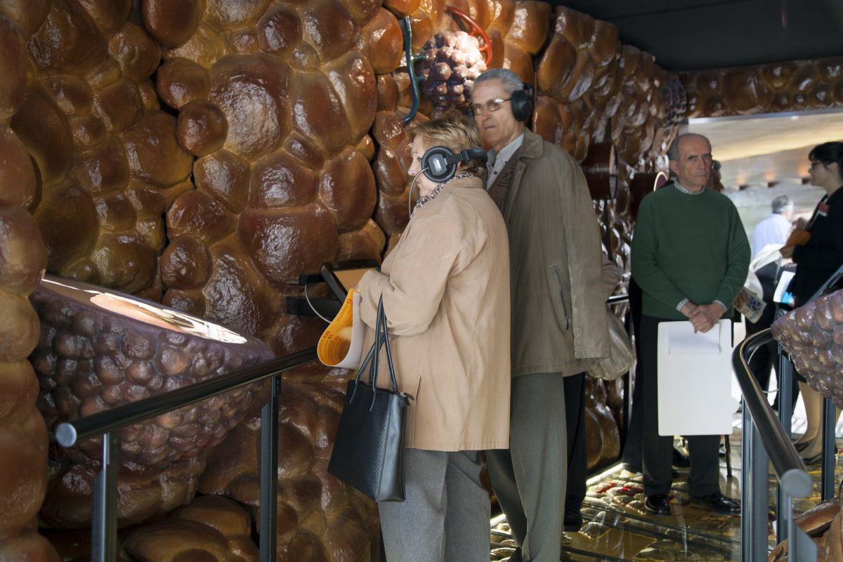 Give Voice To Diabetes Type 2