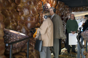 Give Voice To Diabetes Type 2