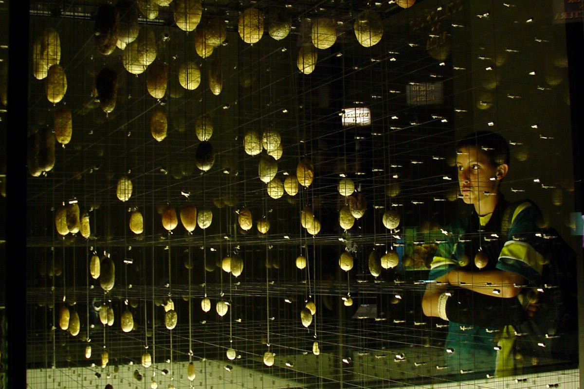 And After It Was... The Shape