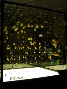 And After It Was... The Shape