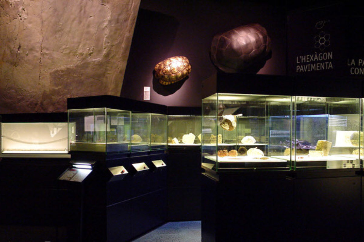 And After It Was... The Shape