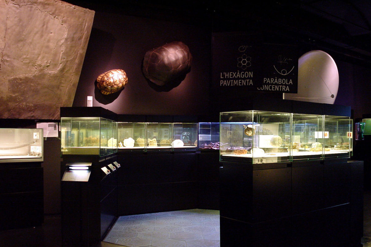 And After It Was... The Shape