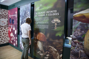 Mycological Center Of Caniles