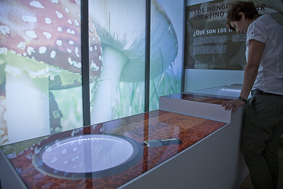 Mycological Center Of Caniles