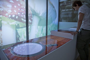 Mycological Center Of Caniles