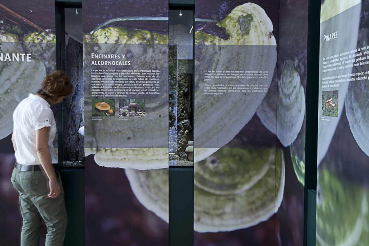 Mycological Center Of Caniles