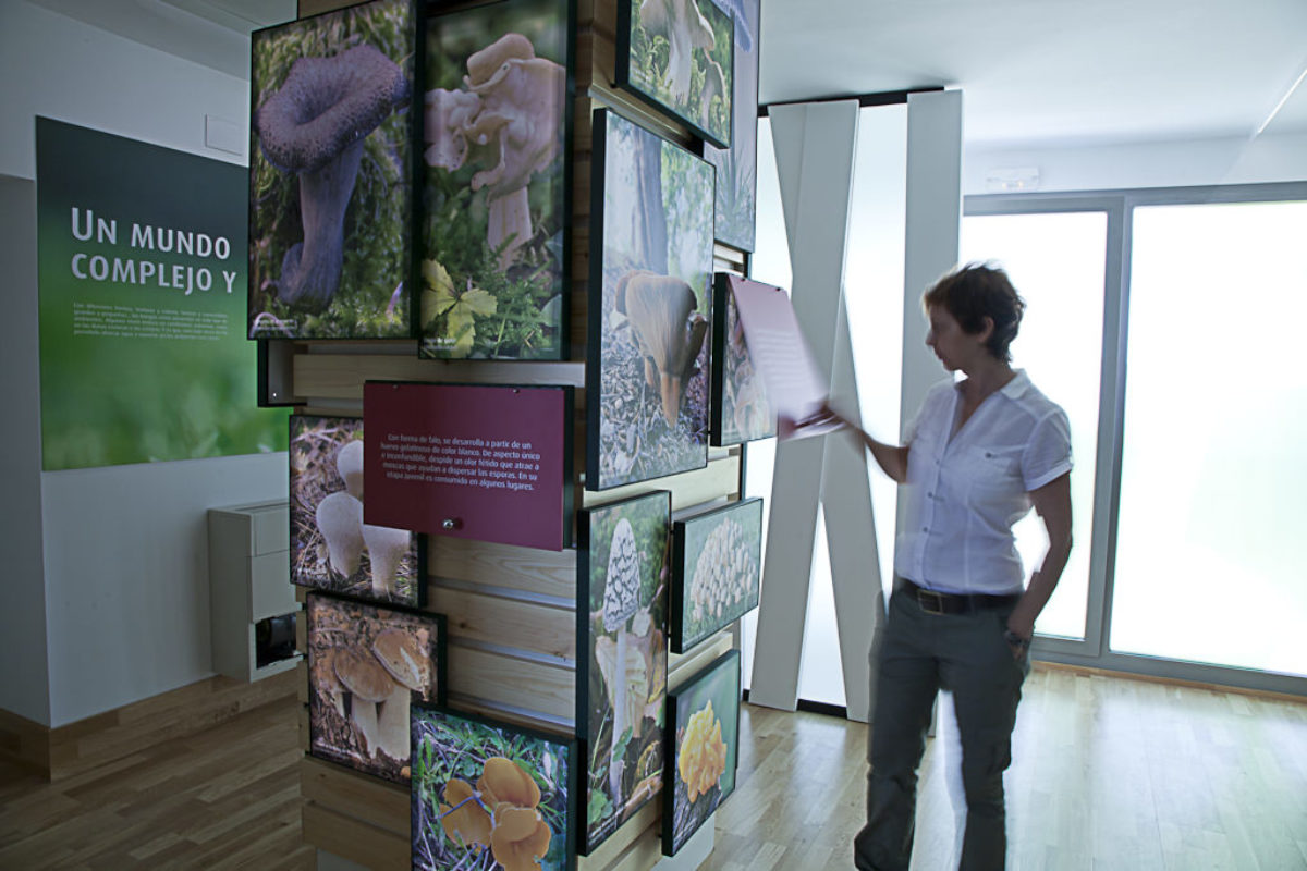 Mycological Center Of Caniles