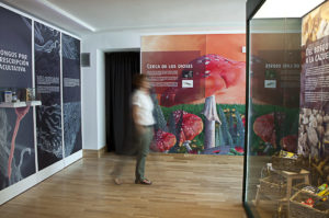 Mycological Center Of Caniles