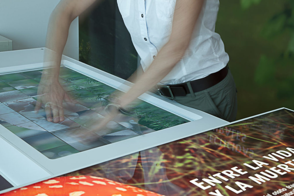 Mycological Center Of Caniles