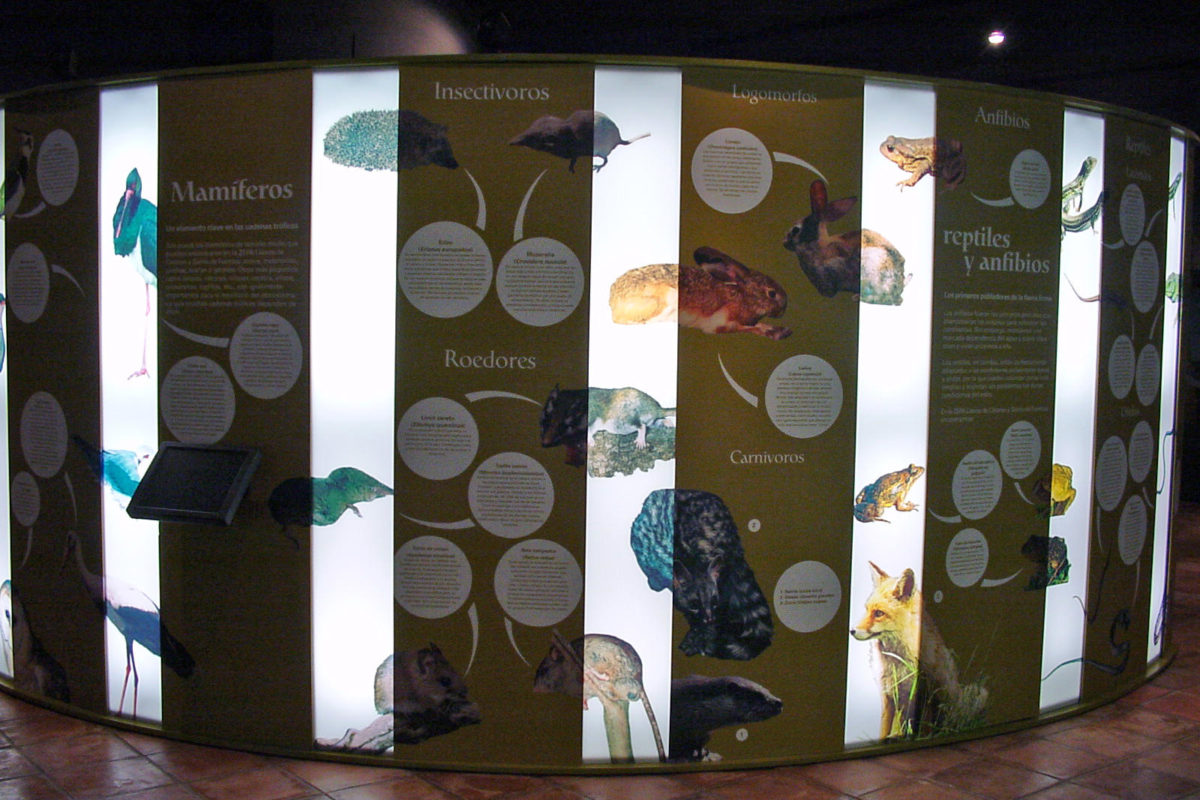 The Olive Grove Of The Friars: Interpretation Center