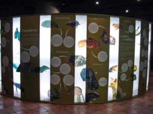 The Olive Grove Of The Friars: Interpretation Center