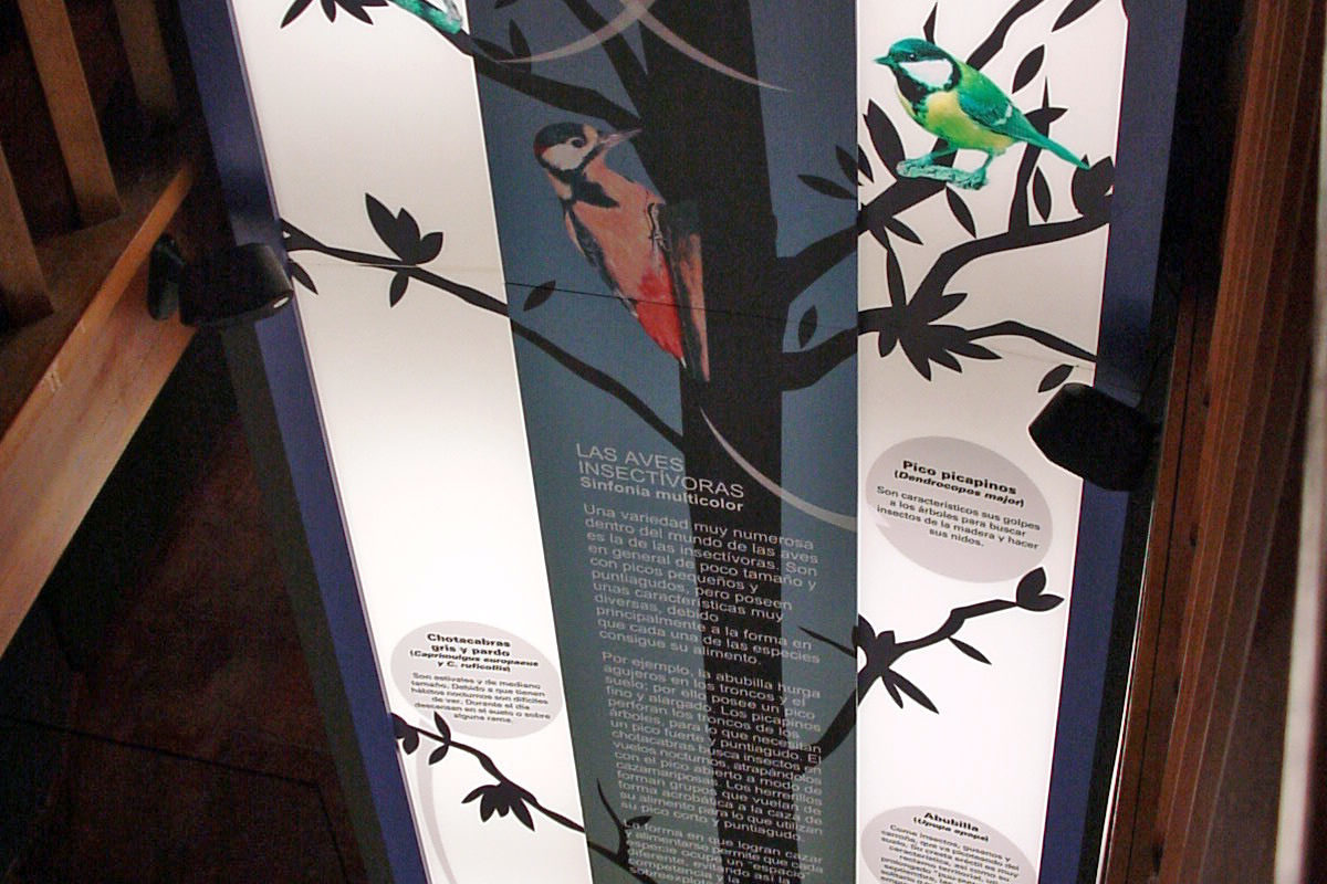 The Olive Grove Of The Friars: Interpretation Center