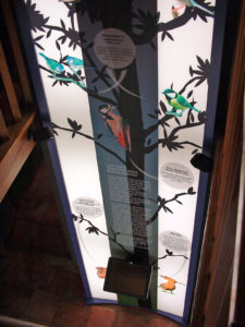 The Olive Grove Of The Friars: Interpretation Center