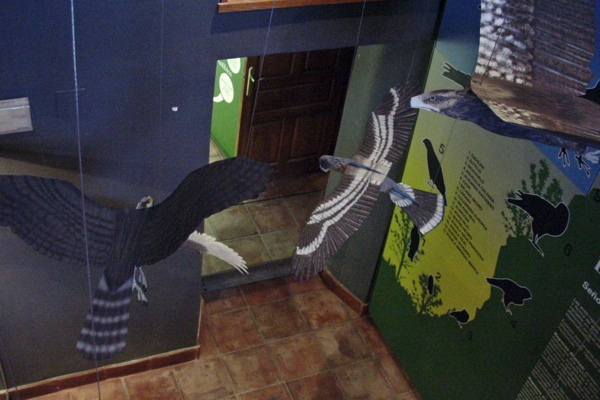 The Olive Grove Of The Friars: Interpretation Center