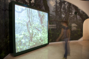 Visitors Center Of Teide's National Park in The Orotava