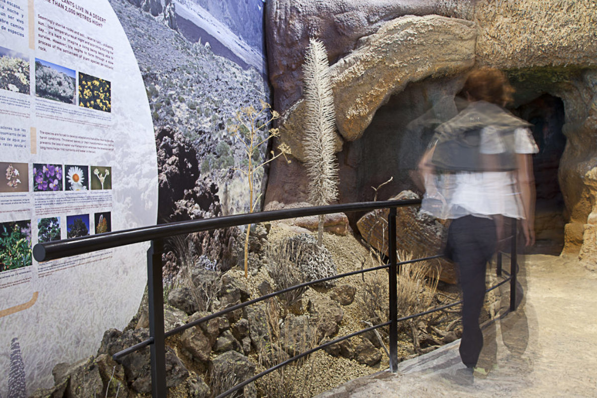 Visitors Center Of Teide’s National Park in The Orotava