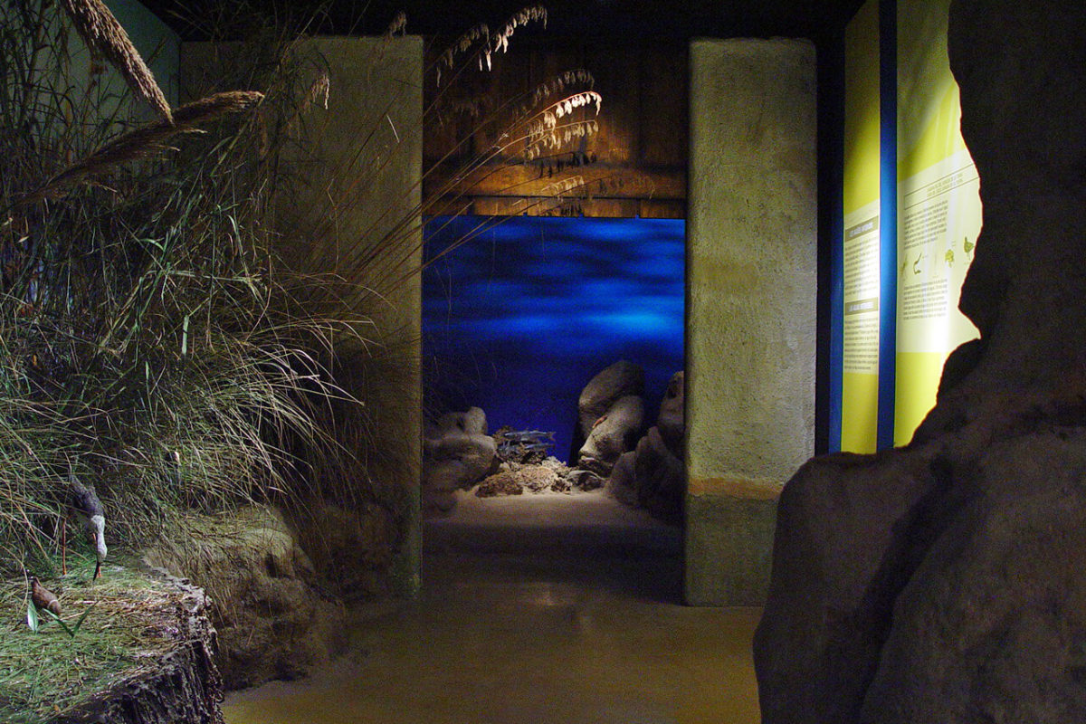 S'Albufera des Grau: Nucleus of the Biosphere Reserve