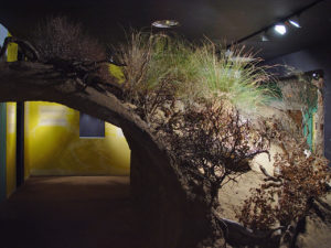 S'Albufera des Grau: Nucleus of the Biosphere Reserve