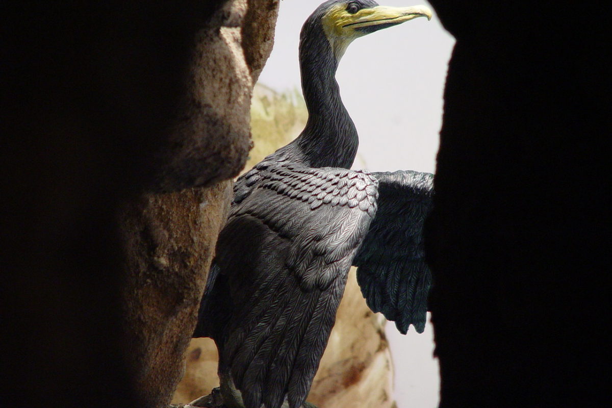S'Albufera des Grau: Nucleus of the Biosphere Reserve