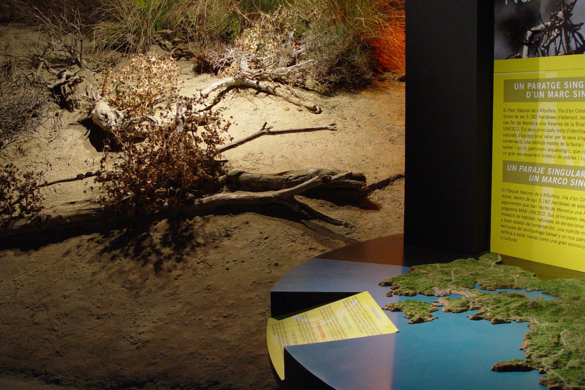 S'Albufera des Grau: Nucleus of the Biosphere Reserve