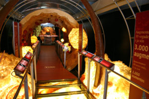 What is AIDS? The Battle Against The Immune System