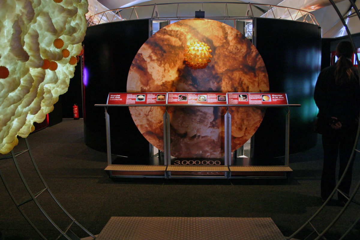 What is AIDS? The Battle Against The Immune System