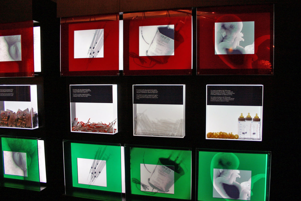 What is AIDS? The Battle Against The Immune System