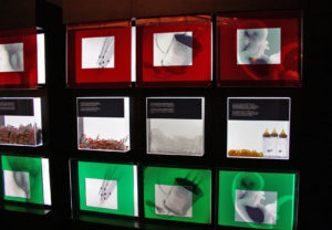 What is AIDS? The Battle Against The Immune System