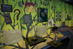 Center Of Biodiversity Conservation Of Vilvestre