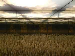 Center Of Biodiversity Conservation Of Vilvestre