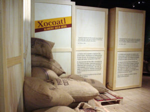 Xocoatl: Food Of The Gods