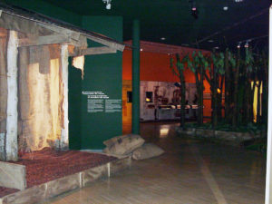 Xocoatl: Food Of The Gods