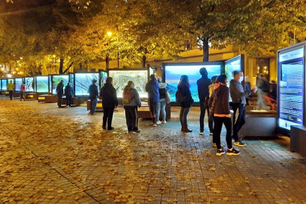 Other Worlds From Pole to Pole