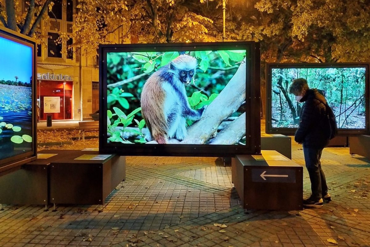 Other Worlds From Pole to Pole