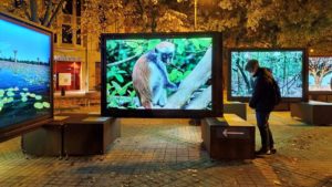 Other Worlds From Pole to Pole