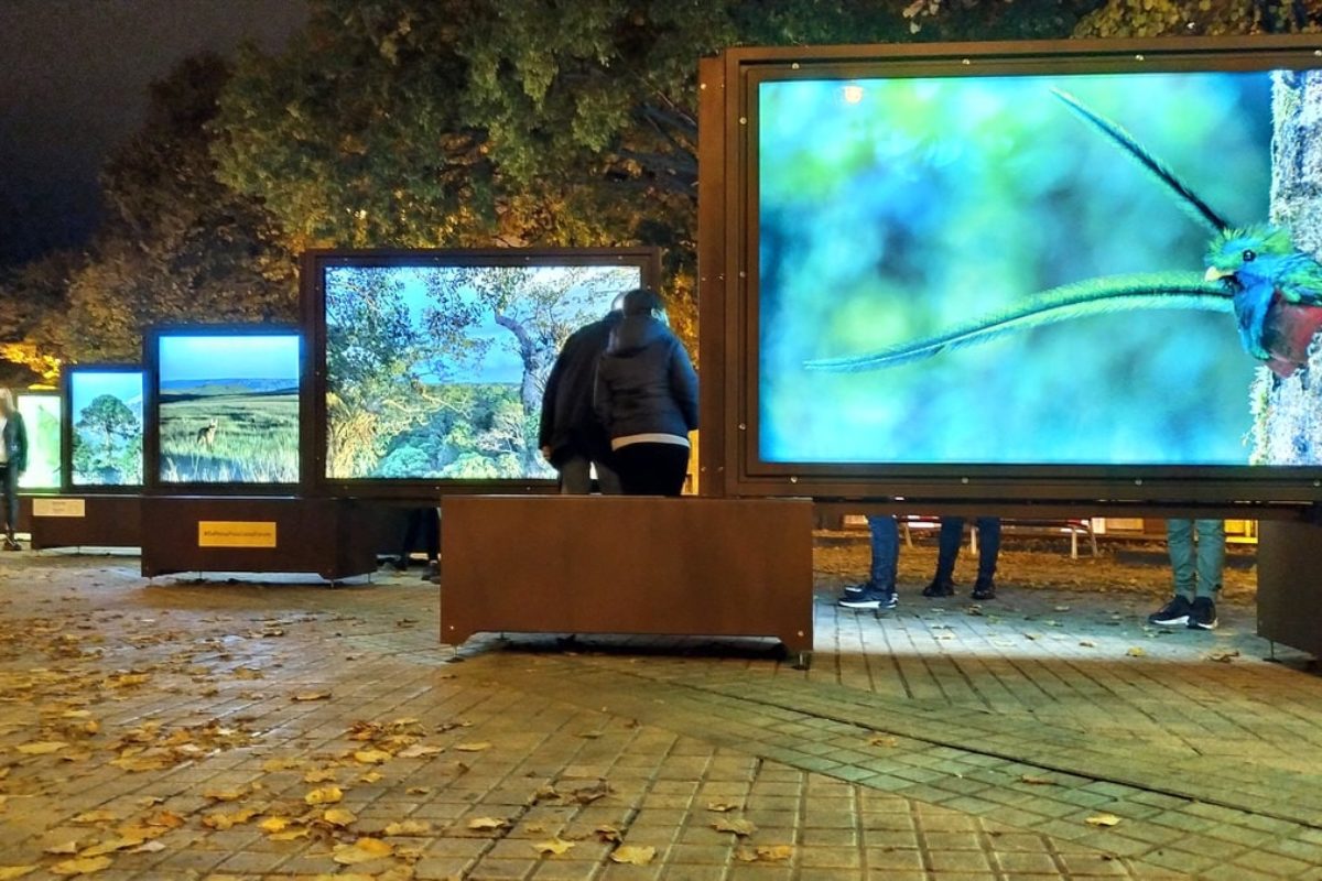 Other Worlds From Pole to Pole